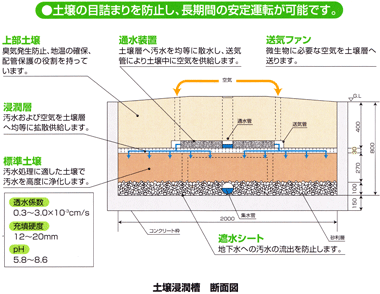 土壌湿潤層断面図